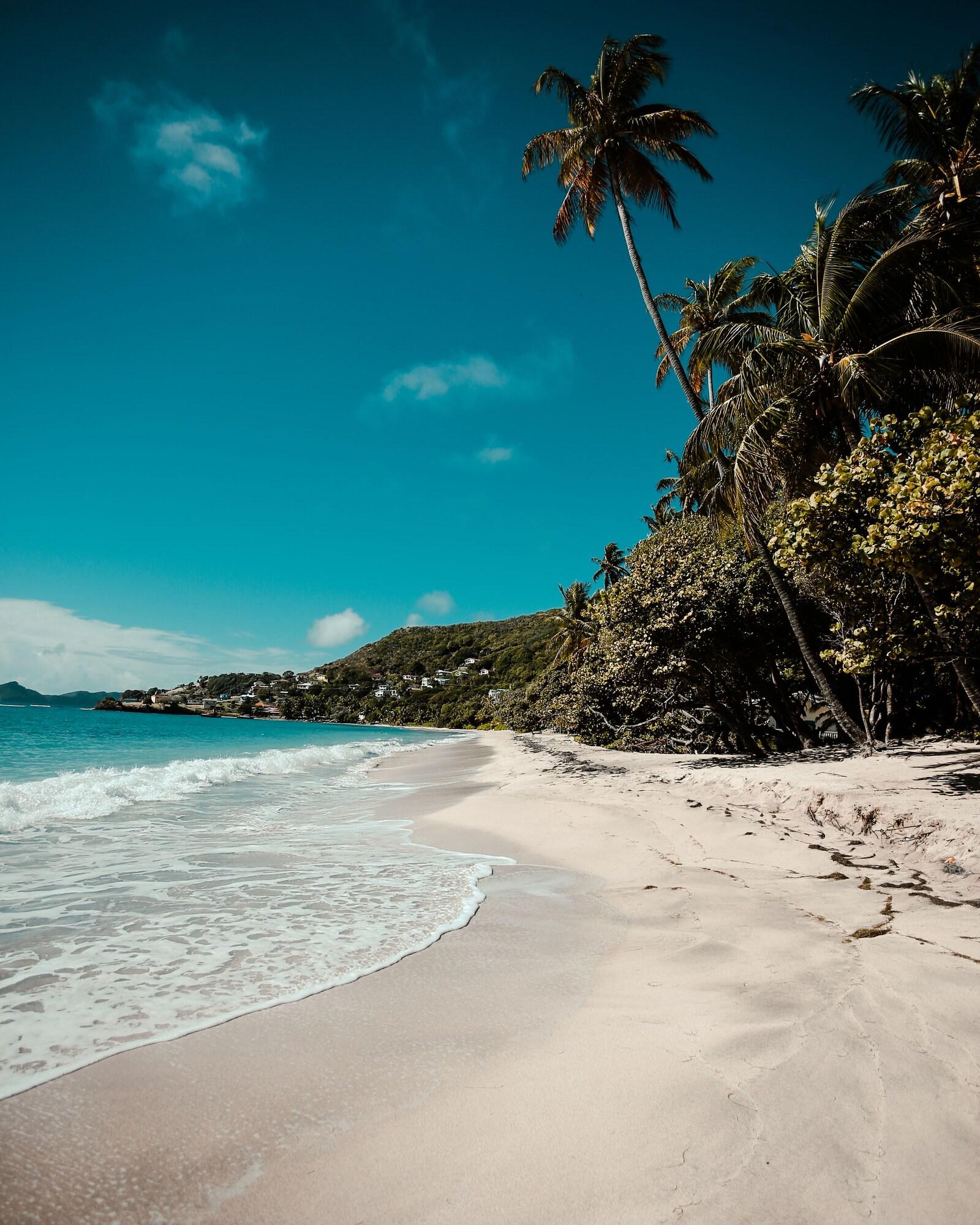 Bequia Beach Port Elizabeth Kültér fotó